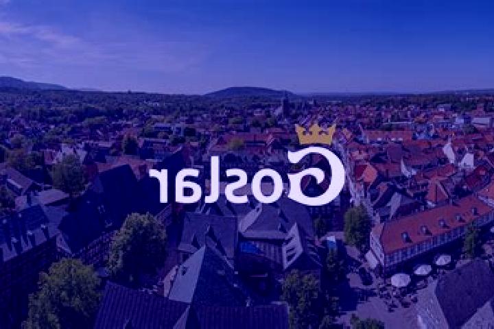 escort Goslar