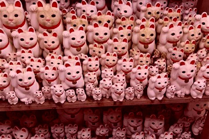 escort Gotokuji