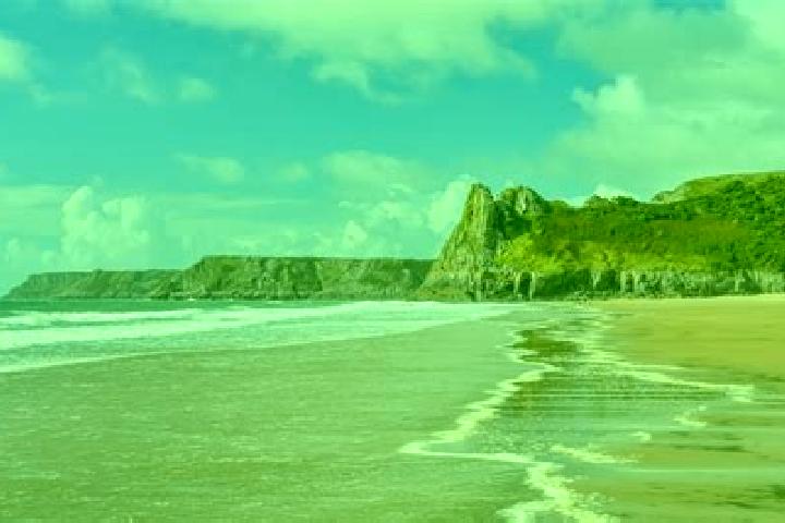 escort Gower