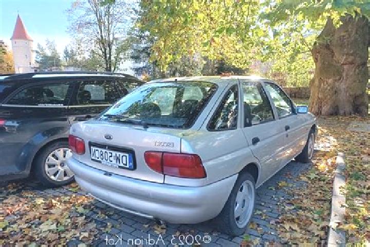 escort Graefenhain