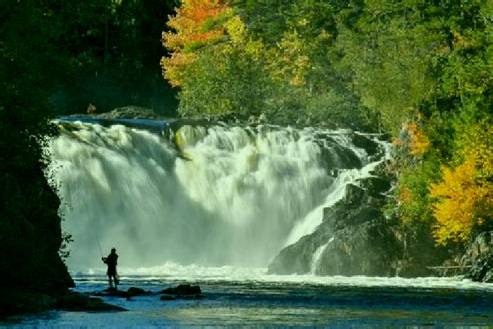 escort Grand Falls