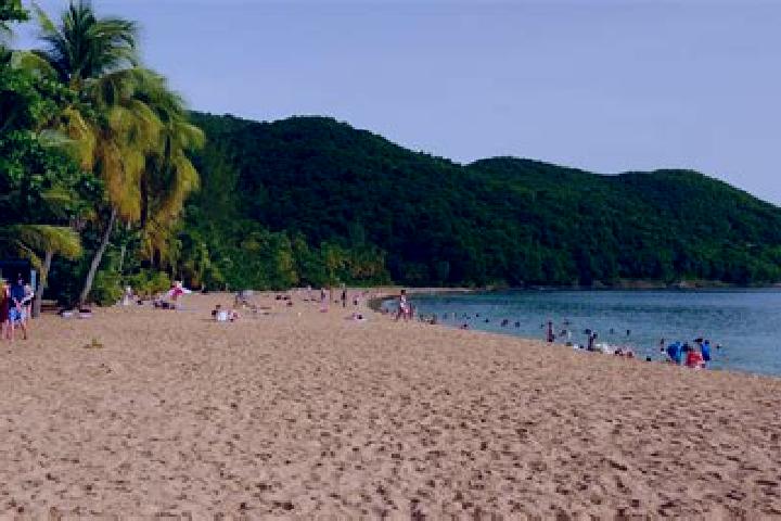 escort Grande-Anse