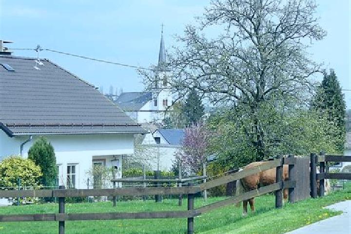 escort Gransdorf