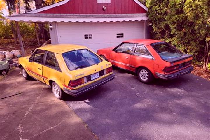 escort Grapeview