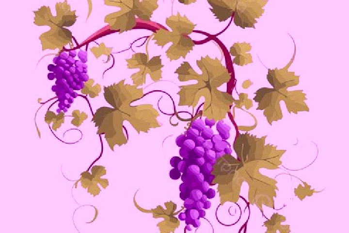 escort Grapevine