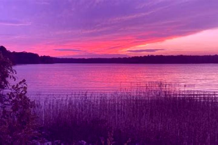escort Grassy Lake