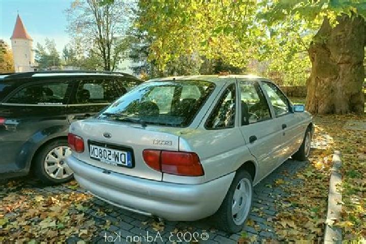 escort Gravelines