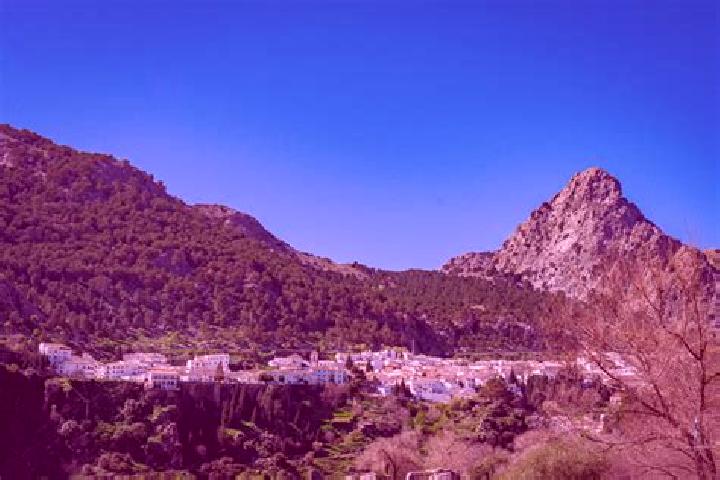 escort Grazalema