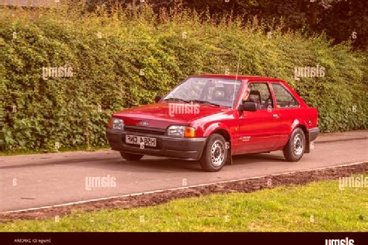 escort Grebnevo