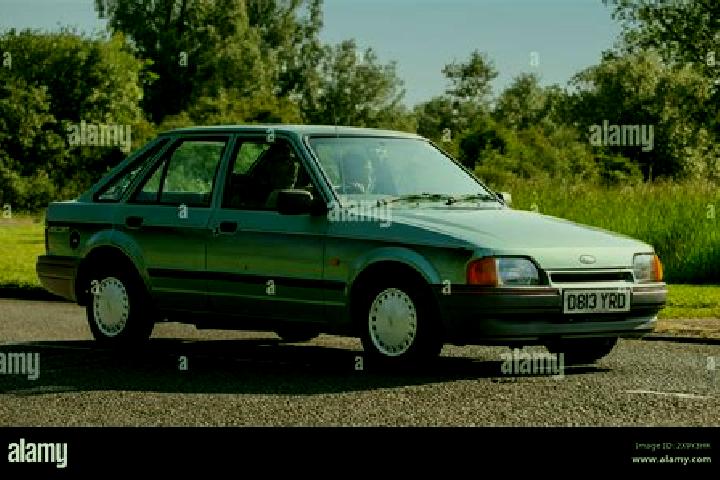 escort Green Bluff