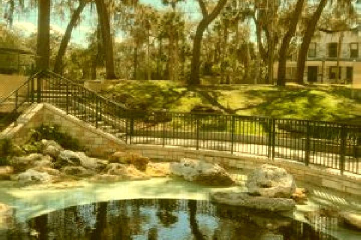 escort Green Cove Springs