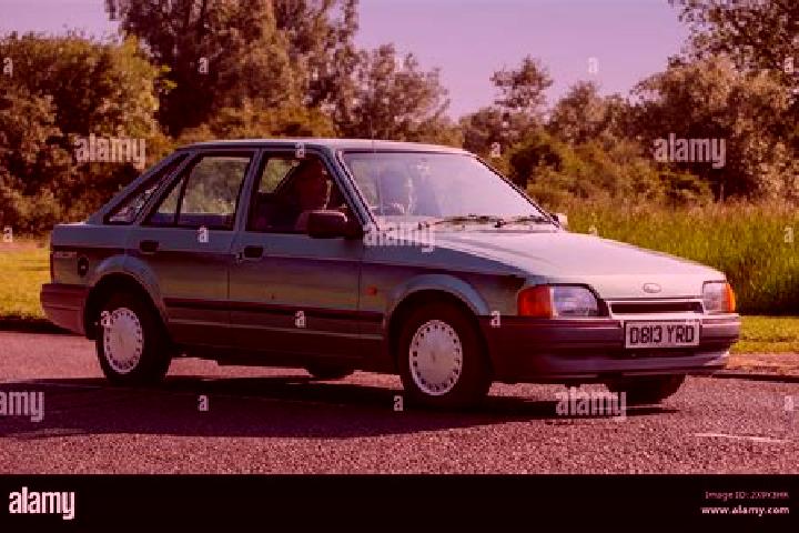 escort Green Forest