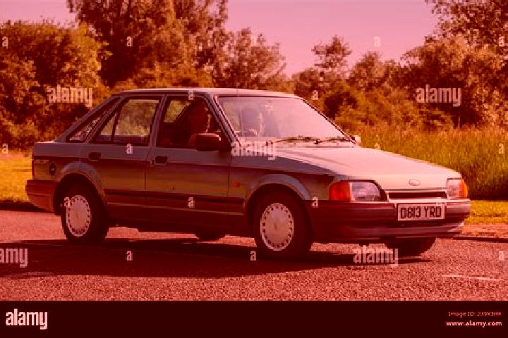 escort Green Point