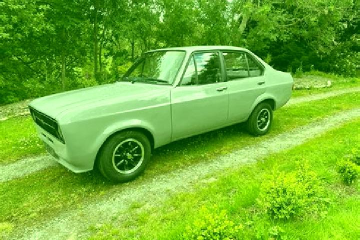 escort Grey Forest