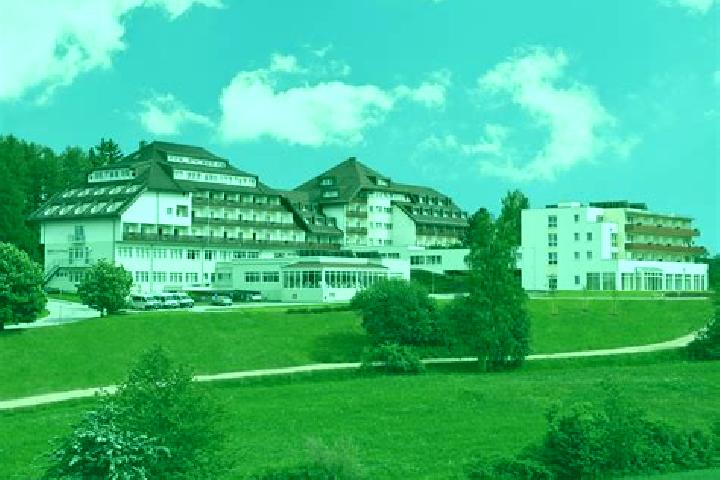 escort Grimmenstein