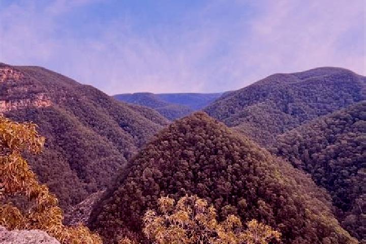 escort Grose Vale