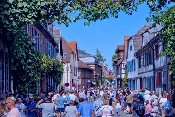 escort Gross-Umstadt