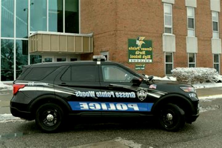 escort Grosse Pointe Woods