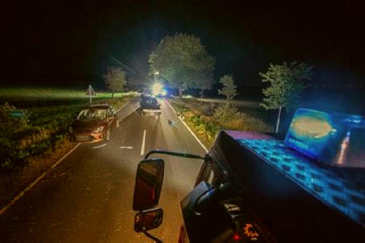 escort Grossrudestedt