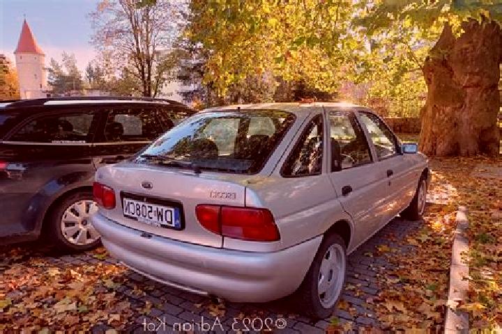escort Grossweitzschen