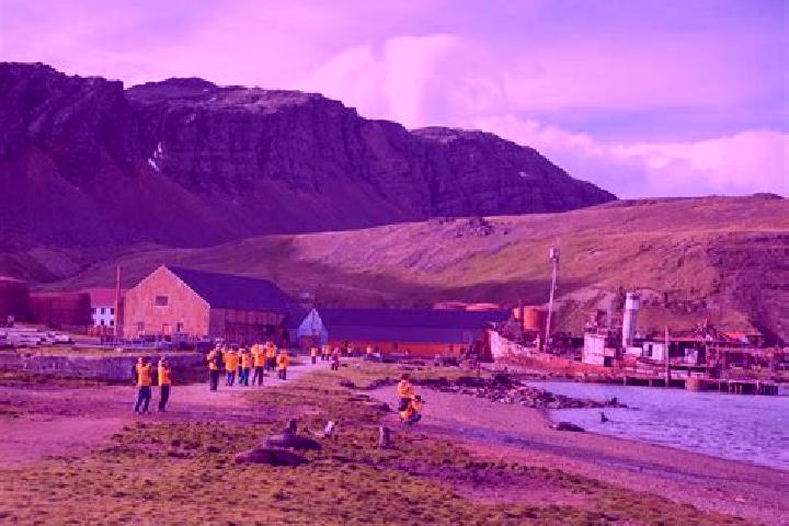 escort Grytviken