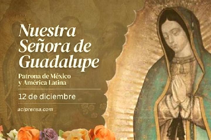escort Guadalupe Bacja