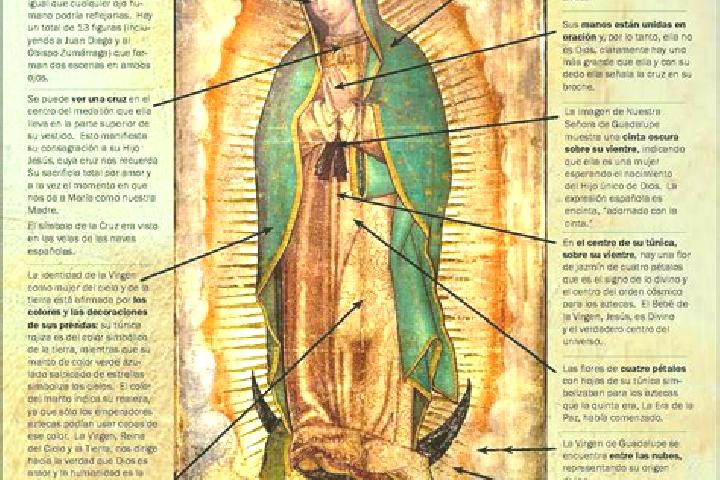escort Guadalupe Cote