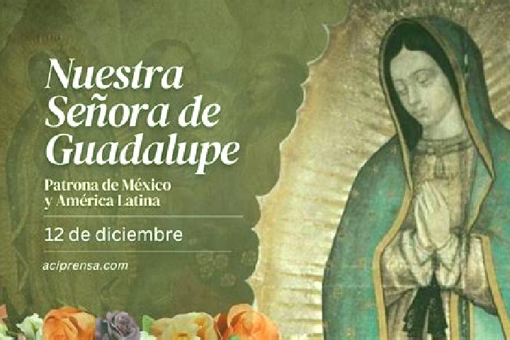 escort Guadalupe Paxilja
