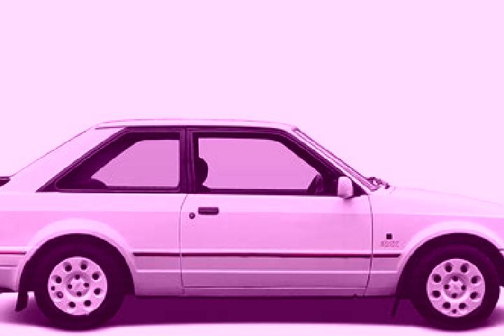 escort Guardabosone