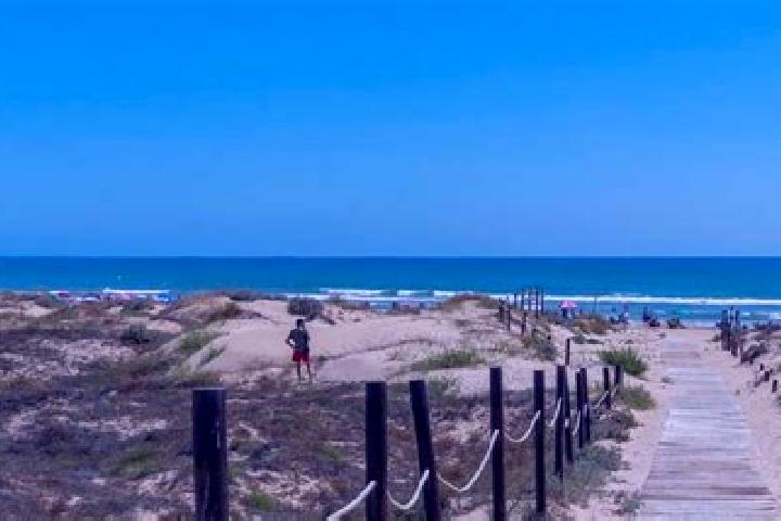 escort Guardamar del Segura