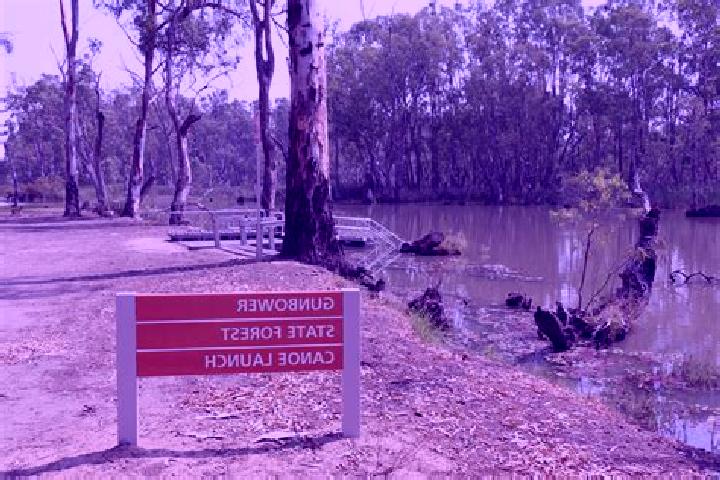 escort Gunbower