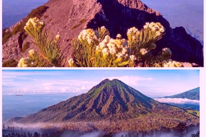 escort Gunung Timur