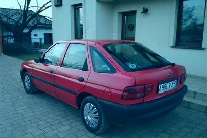 escort Gusinje