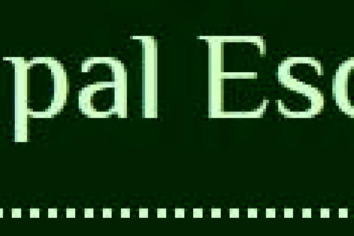escort Gwalior