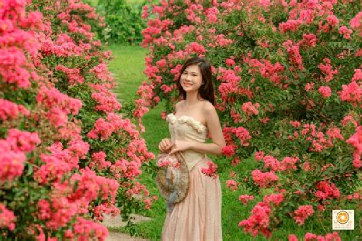 escort Ha Hoa