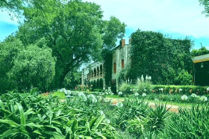 escort Hacienda de Marquez