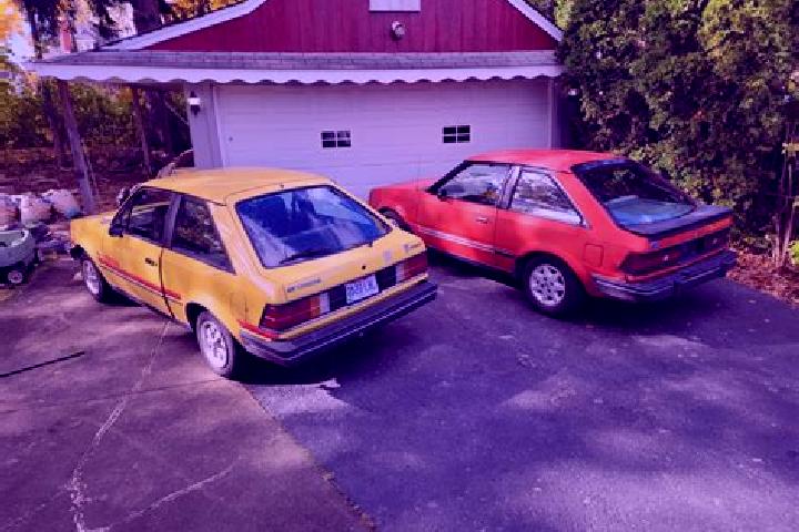 escort Halstenbek