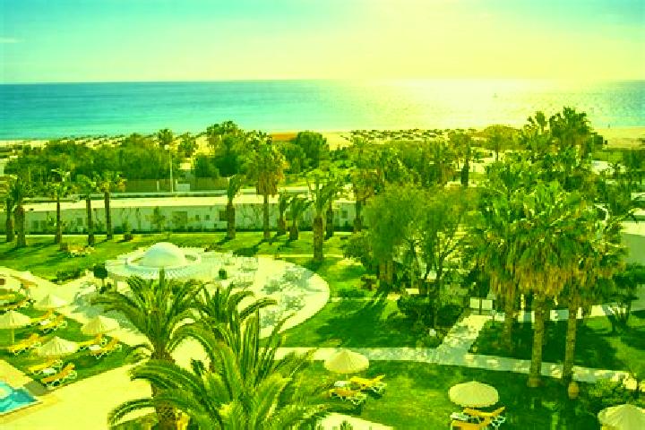 escort Hammamet