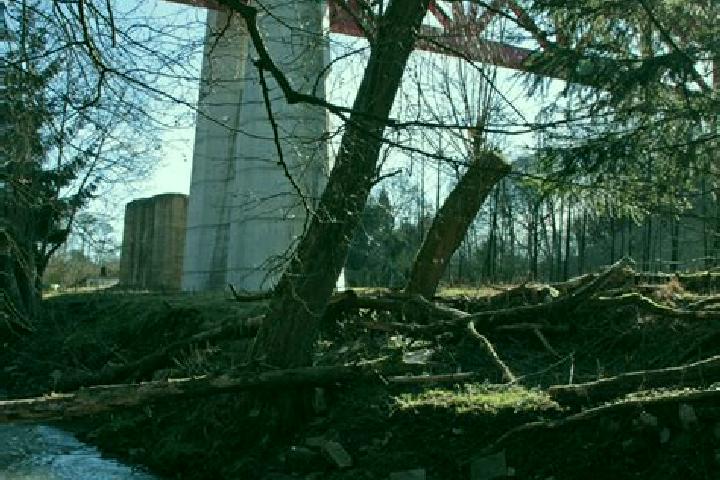 escort Hammerbruecke