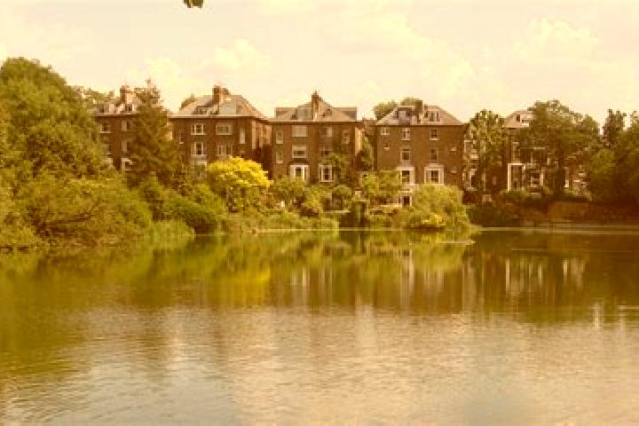 escort Hampstead Gardens