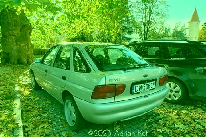 escort Harpasesti