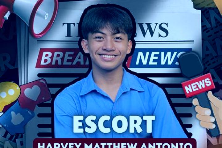 escort Harvey