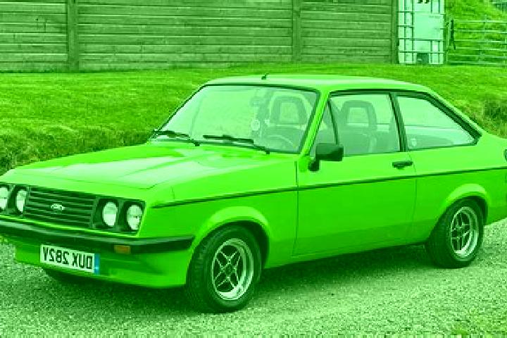 escort Hasangazi