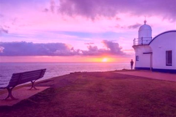 escort Hastings-Sunrise