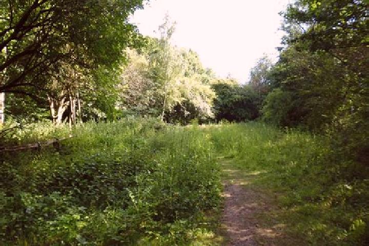 escort Hatfield Heath