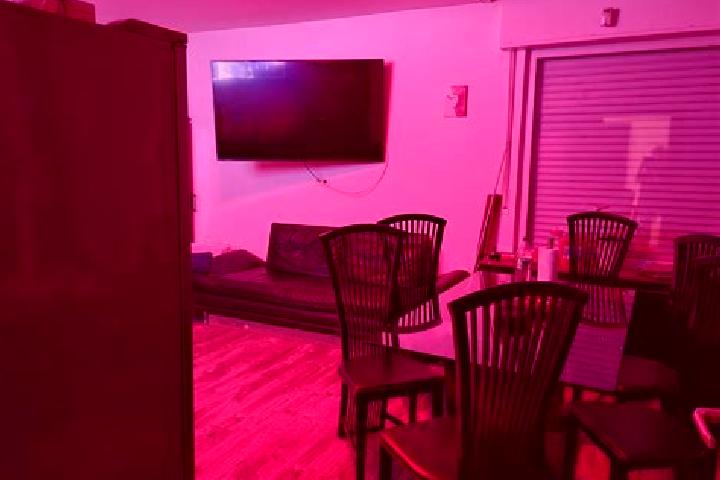 escort Haus