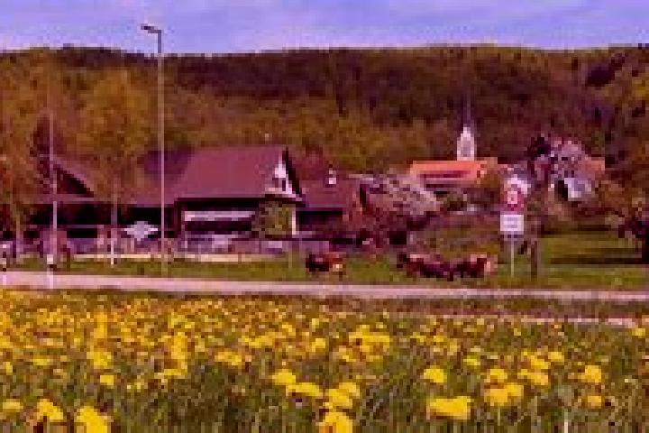 escort Hausen am Albis / Hausen (Dorf)