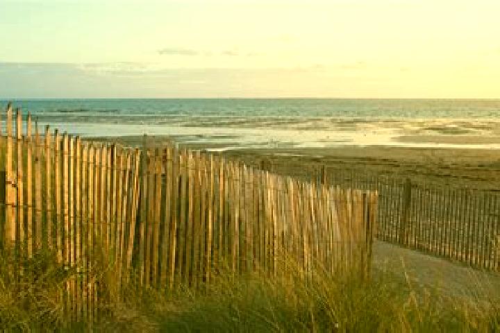 escort Hauteville-sur-Mer