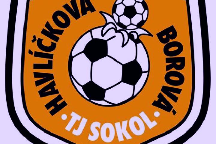escort Havlickova Borova