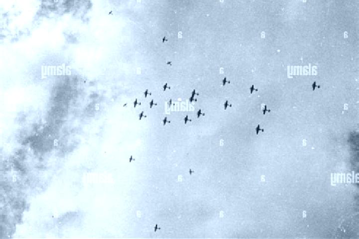 escort Hawker